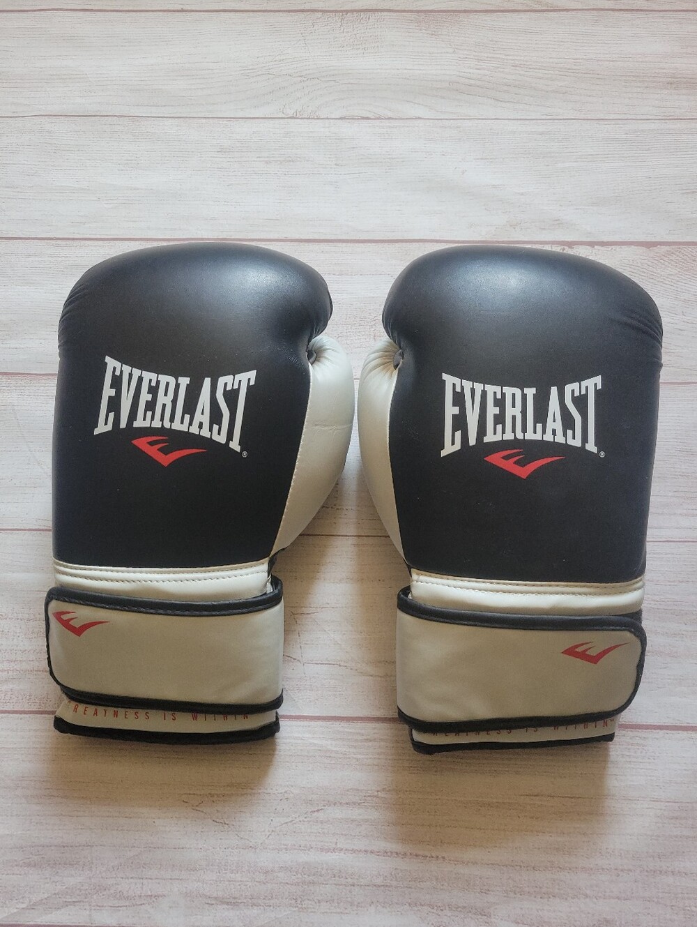 Everlast Boxing Gloves